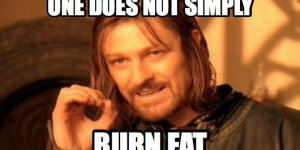 burn fat meme burn fat meme